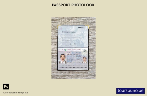 Plantilla de apariencia de foto de pasaporte de Taiwán lista para imprimir